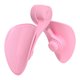 thumbnail image 1 of Entrenador de fitness para mujer Entrenador moldeador ajustable ABS para gimnasio Yoga (rosa), 1 of 3
