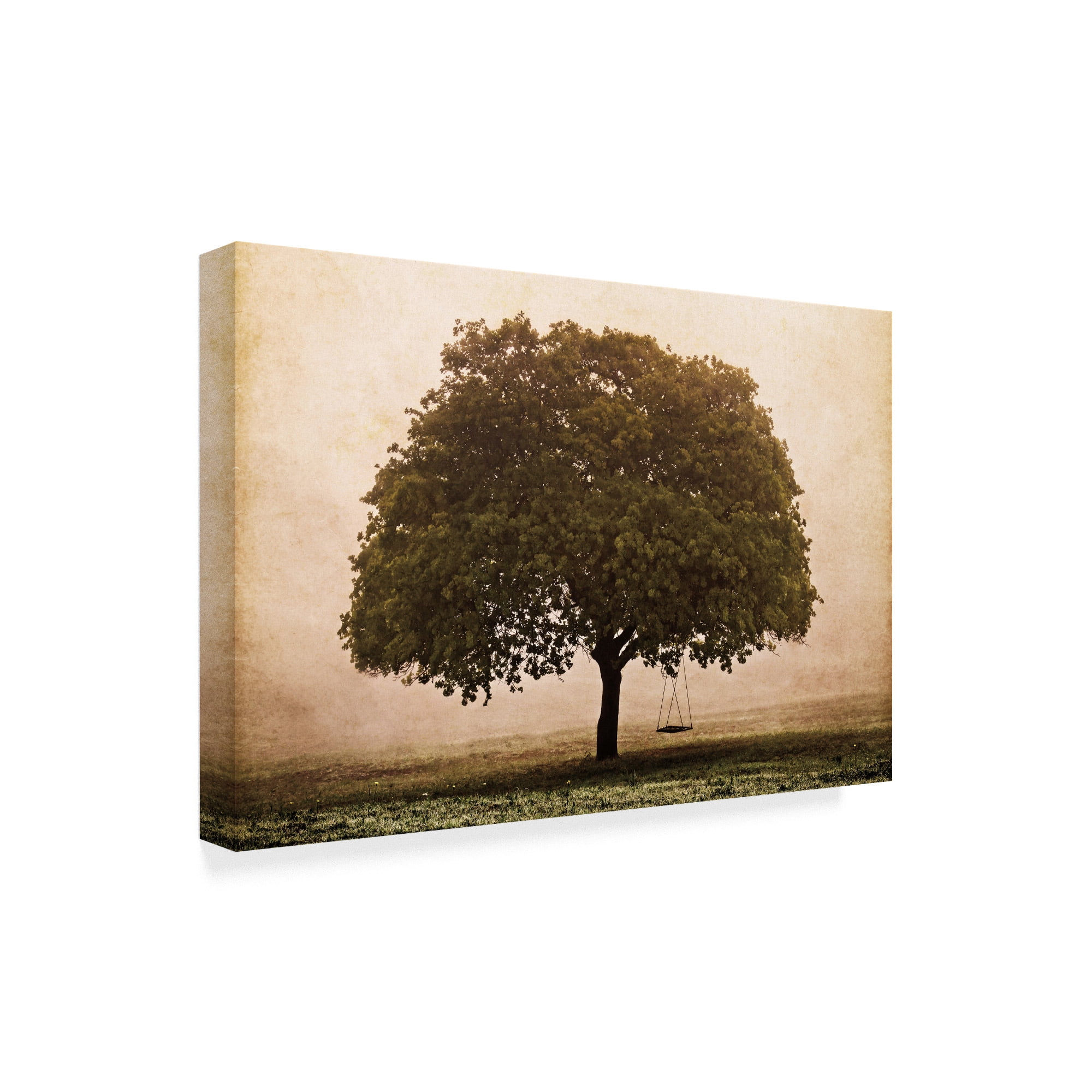 Trademark Fine Art 'The Hopeful Oak' Canvas Art by Debra Van Swearingen