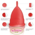 thumbnail image 4 of Blossom Menstrual Cup, Reusable Silicone Cup (Small Red), 4 of 4