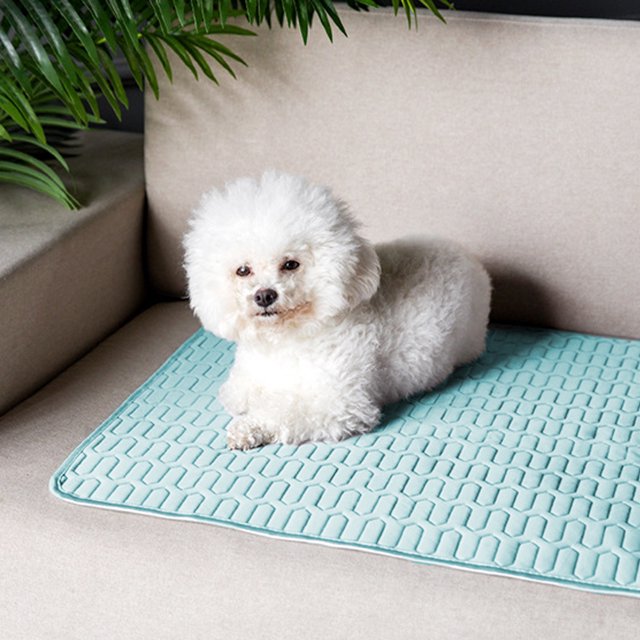 Alfombrilla refrescante para perros grandes, almohadilla autorefrigerante para mascotas, 48 x 27, núcleo de gel refrescante y tela Oxford, portátil para viajes fáciles, para perros de razas