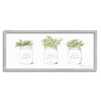Stupell Country Greenery Succulent Jars Botanical & Floral Painting Gray Framed Art Print Wall Art