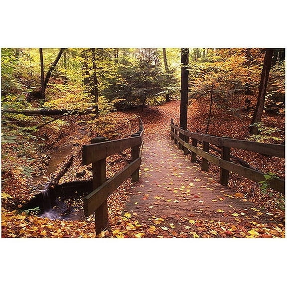 Trademark Art "Autumn Bridge" Canvas Wall Art by Kurt Shaffer