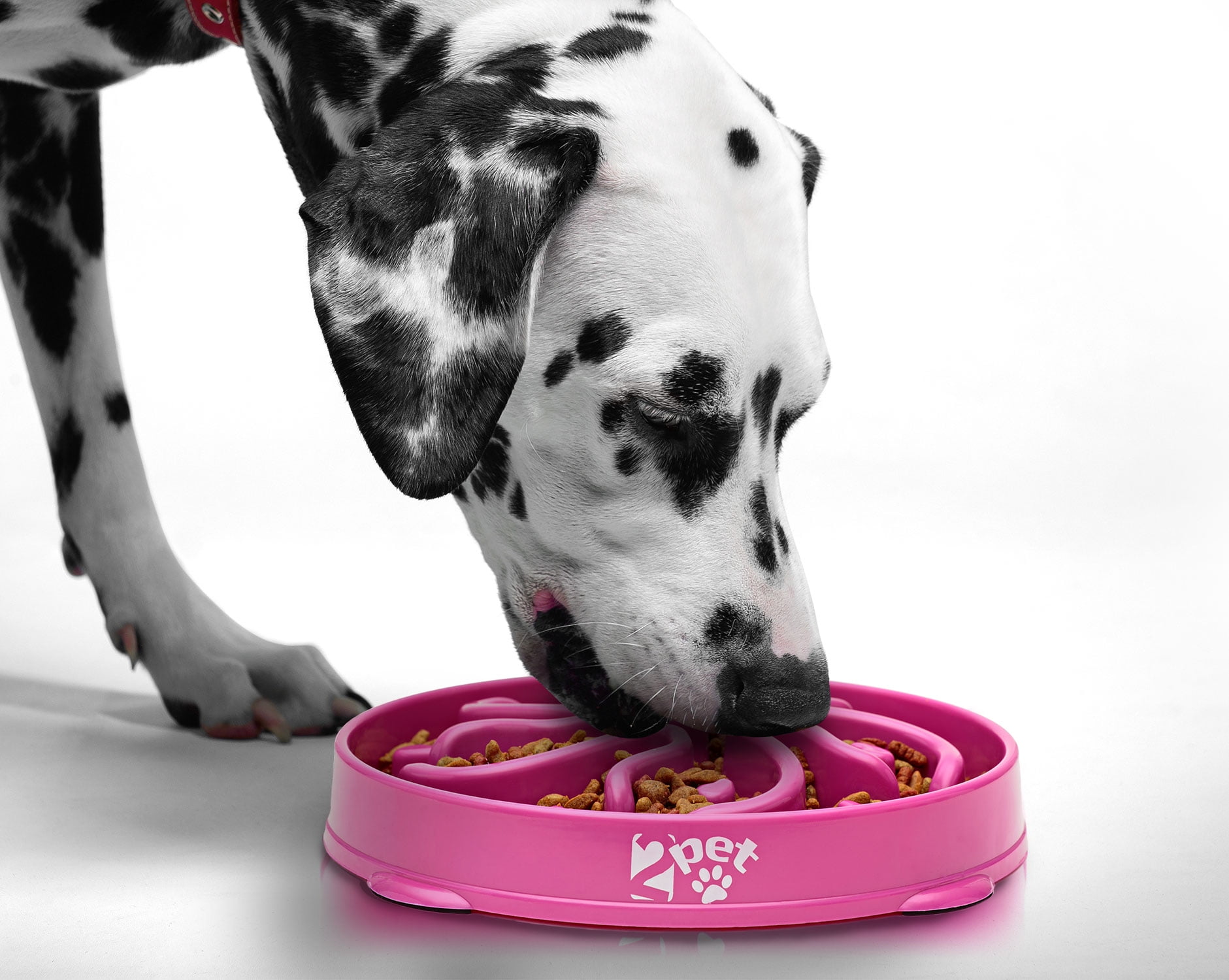 slow feeder dog bowl short snout slow feeder dog bowl short snout