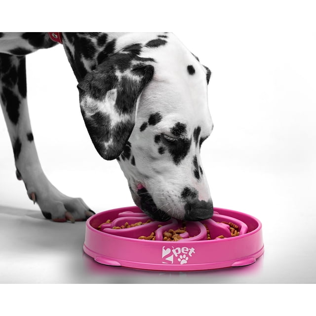 Slow Feed Dog Bowl Slowly Bowly by 2PET. Fun Interactive Dog Dish for
