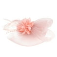 thumbnail image 3 of Women's Fashion Headbands Fascinators Hat Casual Retro Tea Party Headband Wedding Flower Mesh Feathers Hair Clip Mesh Headband for Holiday Party Beach Travel Vacation, 3 of 4