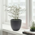 thumbnail image 2 of LuxenHome Gray MgO Round 9.2in. H Planter, 2 of 11