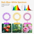 thumbnail image 2 of Plant Grow Light W Growing Lights for Indoor Plants Full Spectrum LED Floor Lamp with Height Adjustable Stand Auto Timer H Dimmable Brightness for Small Large Tall Plants Gr, 2 of 7