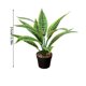 thumbnail image 3 of Plantas artificiales en maceta | Vegetación artificial para la decoración del hogar | Follaje realista de PVC para sala de estar, oficina y dormitorio, 3 of 6