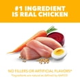 thumbnail image 4 of Iams Proactive Health Smart Puppy Dry Dog Food with Real Chicken, 3.3 lb Bag, 4 of 10