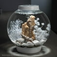 thumbnail image 3 of biOrb White Seashell Set - Small Aquarium Decor, 3 of 10
