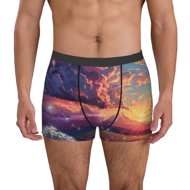 Fotbe Dreamy Dandelion Sunset Calzoncillos Tipo Boxer con Bolsa de Soporte Total para Hombre, X-Temp Fresco, Transpirable y de Secado Rápido-X-Large