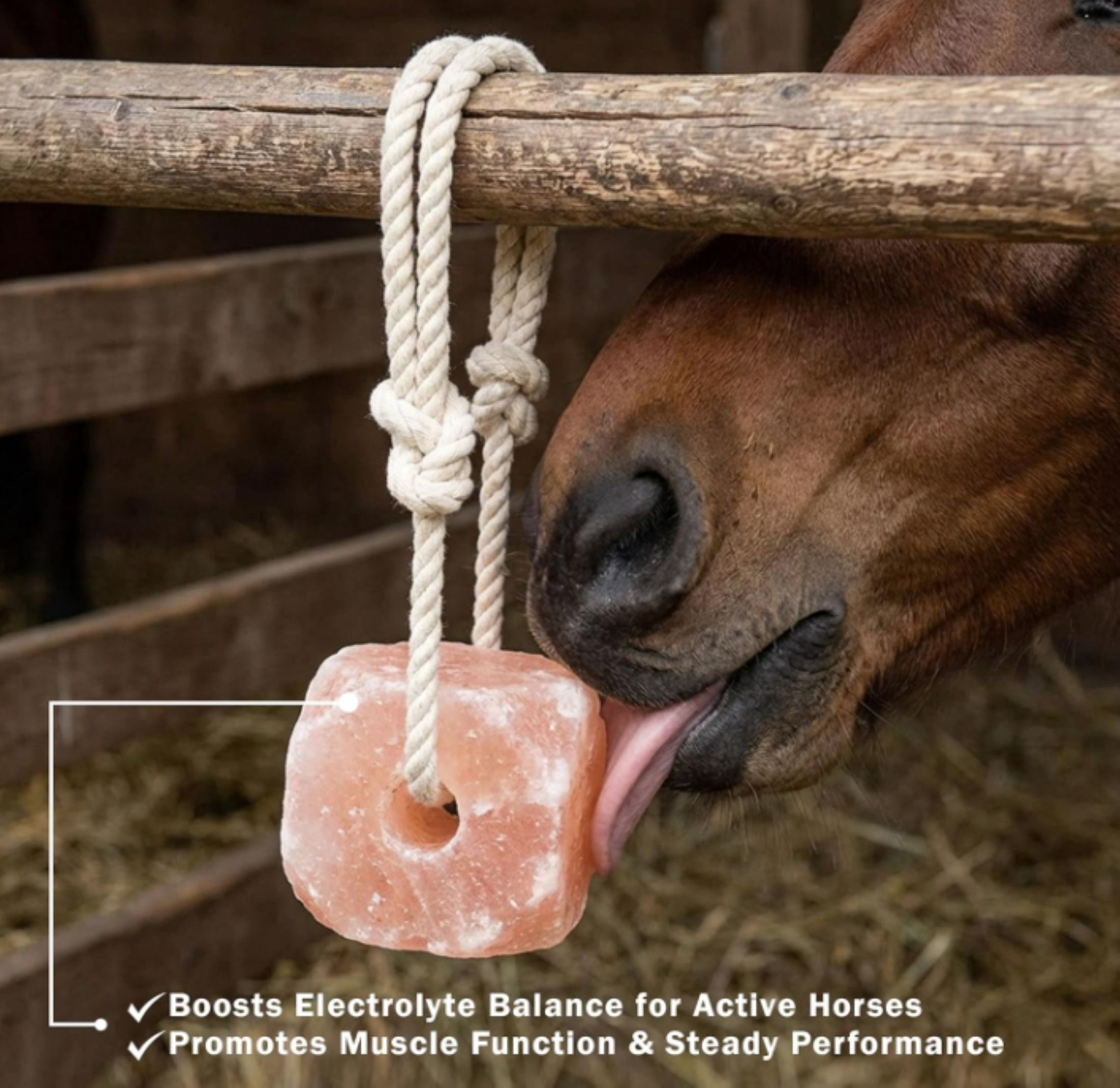 (2 pack) Organic Pink Himalayan Salt Lick - Equine