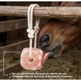 thumbnail image 3 of (2 pack) Organic Pink Himalayan Salt Lick - Equine, 3 of 4