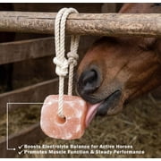 Organic Pink Himalayan Salt Lick - Equine