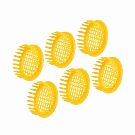 6 Pcs Queen Bee Rearing Box Cell Beekeeping Equipment