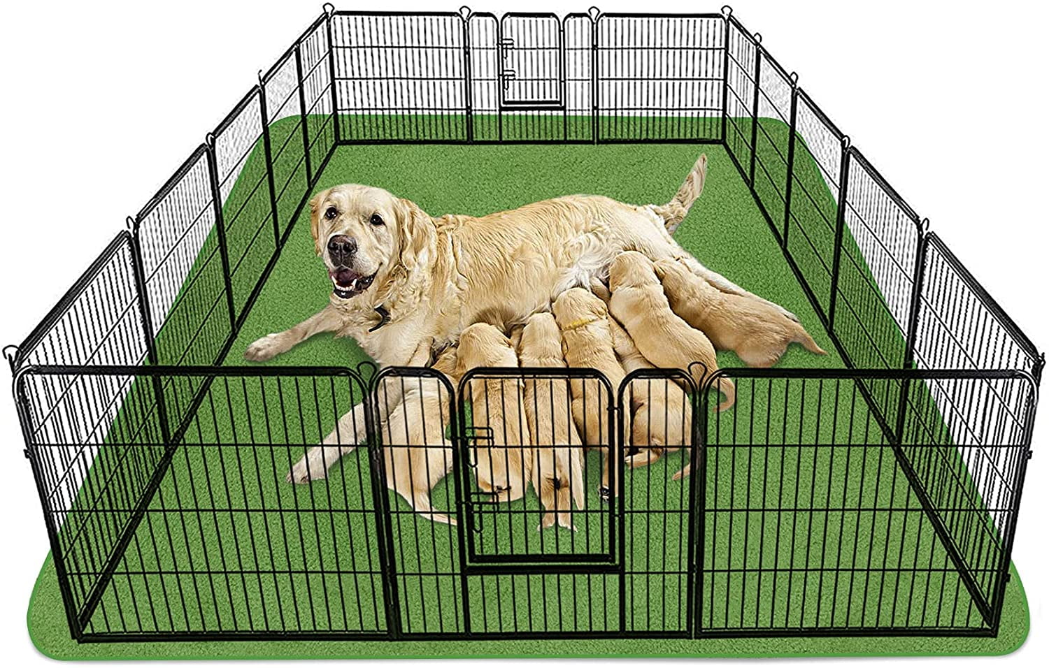 Do You Put Pea Pad In Dogs Crate