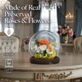 thumbnail image 2 of GLAMOUR BOUTIQUE Preserved Flowers Rose in Glass Dome w/Light - Long Lasting Flowers, Flower Gifts for Women for Any Occasion - Home Decor, Comes w/Thick Gift Box - Glass Rose Flowers - Orange, 2 of 9