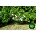 thumbnail image 3 of Wind Flower XII  | Kinetic Wind Spinner XII, 3 of 6