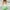 Green, variant on Amidoa Women Dresses on Clearance Short Sleeve Cotton Linen V-Neck Sun Dress Womens Formal Dresses