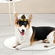 thumbnail image 5 of Gorro divertido para mascotas, accesorio elegante para disfraces, ideal para gatos, perros y cachorros. Disponible en negro, blanco y dorado., 5 of 7