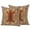Beige, Orange, Green, Brown, variant on Outdoor Pillow Covers 24 x 24 Inches, Tiger Retro Waterproof Throw Pillow Cover Set of 2, Orange Boho Animal Ethnic Tribal Floral Decorative Square Cushion Covers for Patio/Tent/Couch/Garden