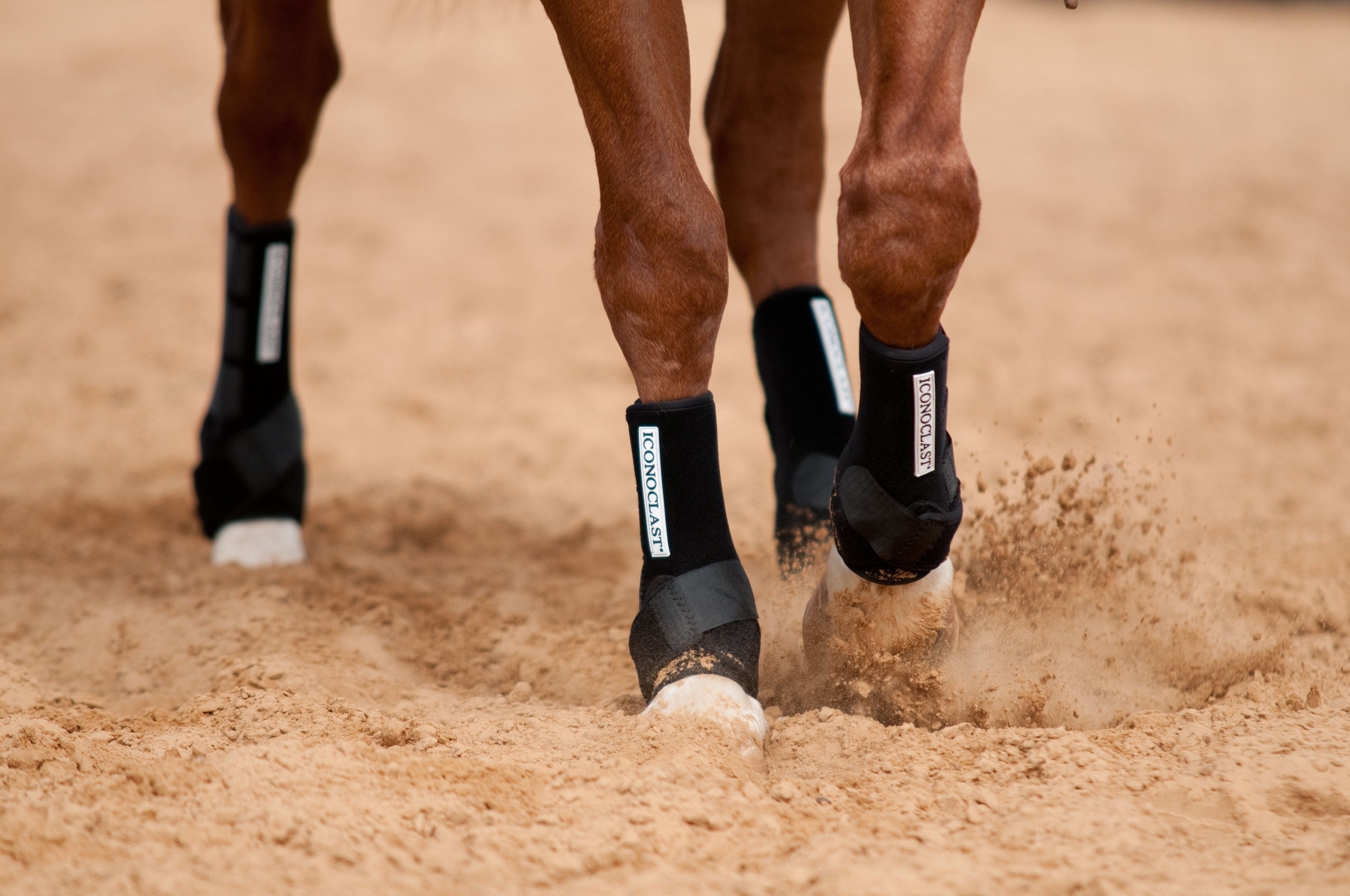 Iconoclast Bottes de soutien orthopédiques avant