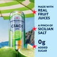 thumbnail image 4 of Sanpellegrino CIAO Lime Sparkling Flavored Water with Real Fruit Juices, 6 Pack, 4 of 14