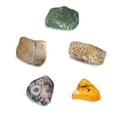 thumbnail image 2 of I Dig It! Fossils - Real Fossils Excavation Kit, 2 of 5