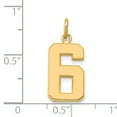thumbnail image 5 of 14K Gold Medium Polished Number 6 Charm Pendant Jewelry, 5 of 5