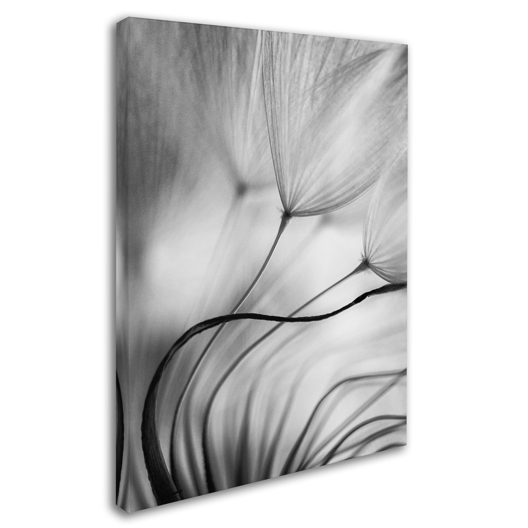 Trademark Fine Art 'Lean On Me' Canvas Art by Keren Or