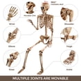 thumbnail image 5 of Ayieyill 5.4ft Halloween Skeleton Decorations, Weathered Posable Skeleton Decor for Halloween Decorations Outdoor Indoor, 5 of 10