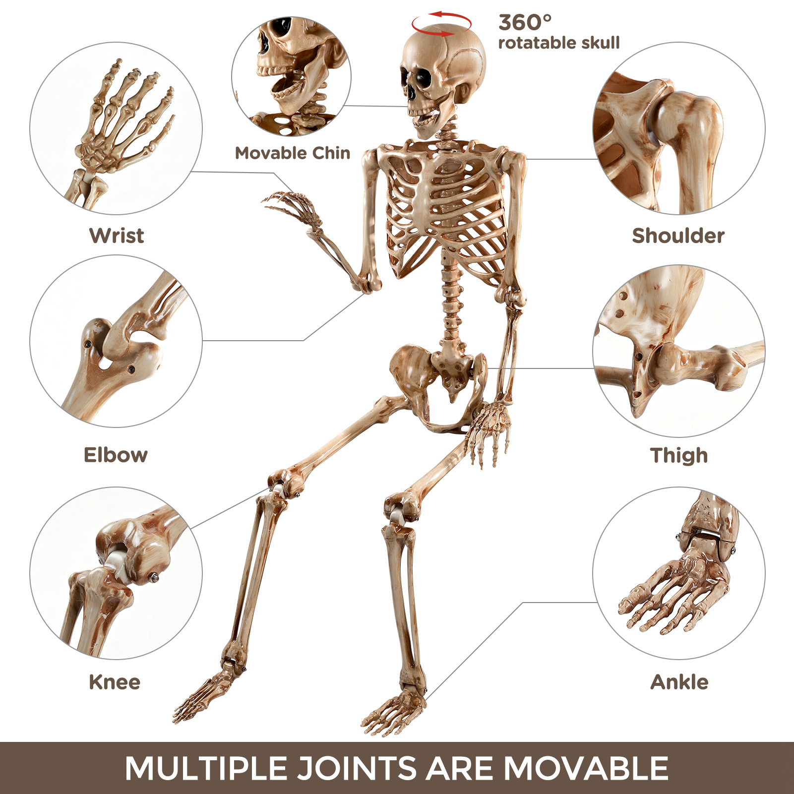 Ayieyill 5.4ft Posable Skeleton Halloween Decoration photo 4