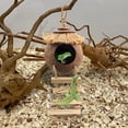 thumbnail image 3 of Accesorios para Terrarios MUYG Escondite de Coco para Gecko Crestado con Escalera, 3 of 8