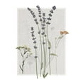 thumbnail image 2 of Robinson, Carol 12x14 Black Ornate Wood Framed with Double Matting Museum Art Print Titled - Field Study Page I, 2 of 4