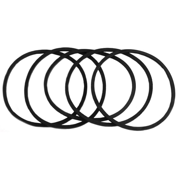 Fuji Spray 9720-5 Gaskets for 600cc/1000cc Gravity Cup, 5-Pack