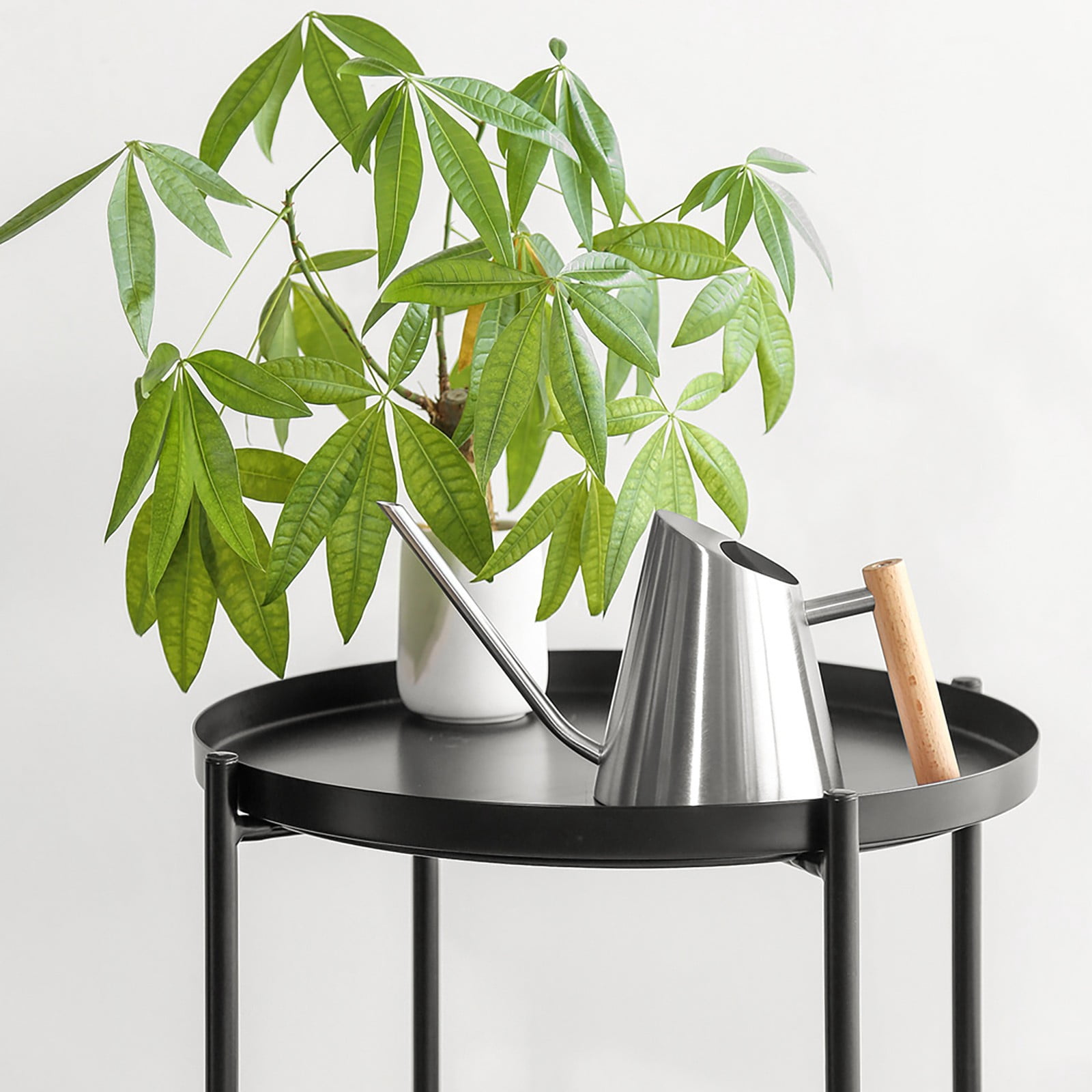 Succulent Watering Kettle Indoor Watering Can Spout Watering Cans Flower Watering Can Indoor Plant Accessories Watering Can Indoor Plants Cute Watering Can Plant for Inside