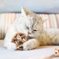 thumbnail image 4 of Catnip toys kitten teeth cleaning tools cat chew toys, 4 of 5