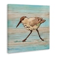 thumbnail image 2 of Stupell Industries Coastal Coastal Teak Sandpiper Canvas Art, 30 x 30, by Paul Brent, 2 of 7