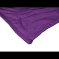 thumbnail image 2 of The Northwest Group  Philadelphia Phillies Pride 50" x 60" Silk Touch Throw Blanket, 2 of 5