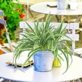 thumbnail image 4 of Clearance Under $10 Artificial flowers, Artificial Plant Large Greenery Plants Outside Faux Plants Bushes For Indoor Table Outdoor Planter Decor, 4 of 7
