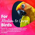thumbnail image 3 of Super Bird Creations Seagrass Foraging Wall Toy for Birds, 3 of 7