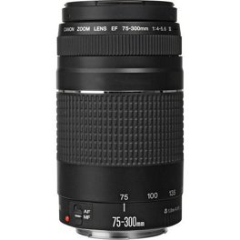 Canon EF-S 55-250mm f/4.0-5.6 IS II Telephoto Zoom Lens