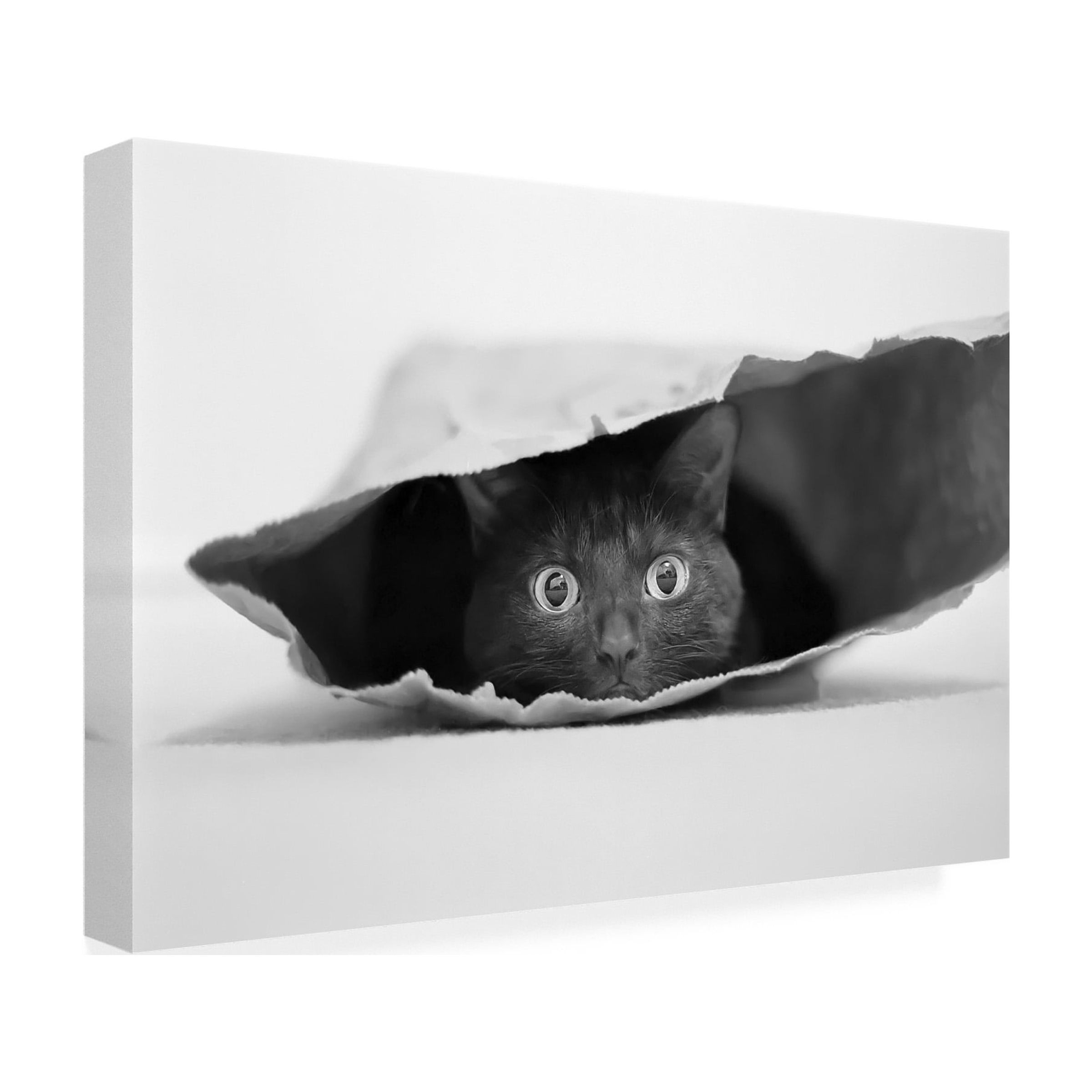 Jeremy Holthuysen 'Cat In A Bag' Canvas Art