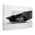 thumbnail image 4 of Jeremy Holthuysen 'Cat In A Bag' Canvas Art, 4 of 4