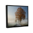 thumbnail image 3 of Stupell Foggy Road Sycamore Tree Landscape Photography Black Floater Framed Art Print Wall Art, 3 of 6