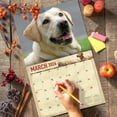 thumbnail image 6 of 2026 Yellow Labrador Dog Wall Calendar 16-Month X-Large Size 14x22, Monthly Calendar for Home or Office, by The KING Company-Monster Calendars, 6 of 7