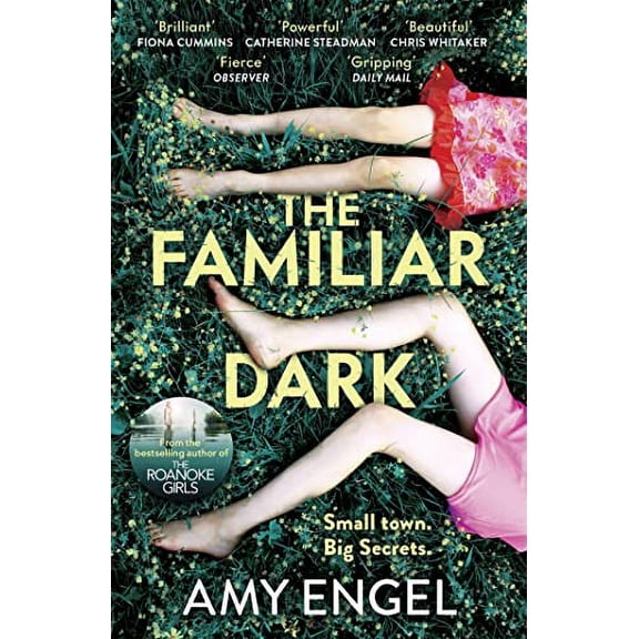 Pre-Owned The Familiar Dark: The must-read, utterly gripping thriller you won't be able to put down Paperback
