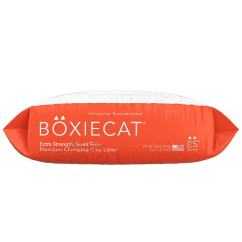 Boxiecat extra cheap strength