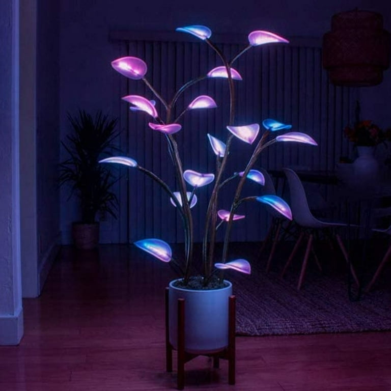  Mxculior Plant Growing Lamps, Painting, Coloring and