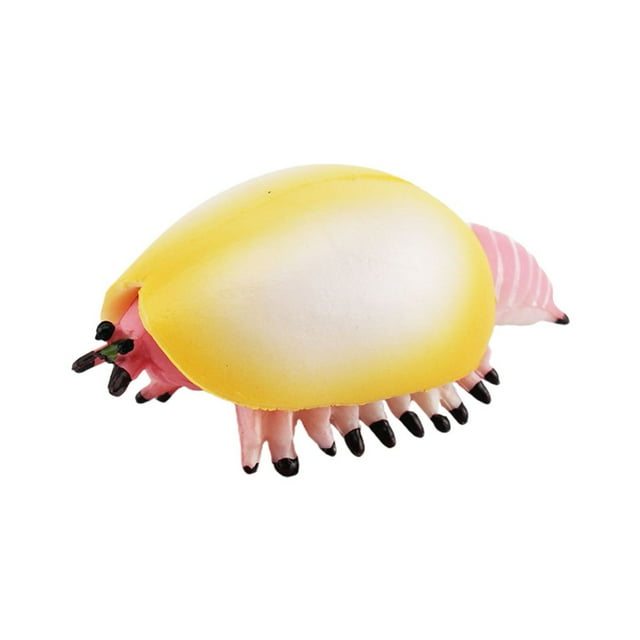 Cambrian Animal Model Decoration Realistic Ornamental Cambrian Ancient Marine Animals Statue Ornament